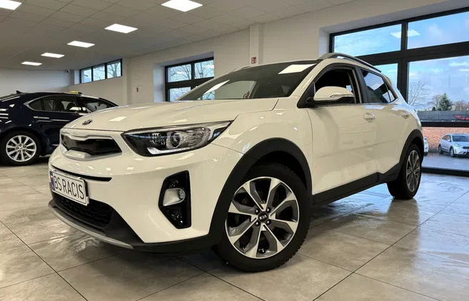 kia podlaskie Kia Stonic cena 72900 przebieg: 27975, rok produkcji 2019 z Suwałki